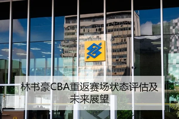 林书豪CBA重返赛场状态评估及未来展望
